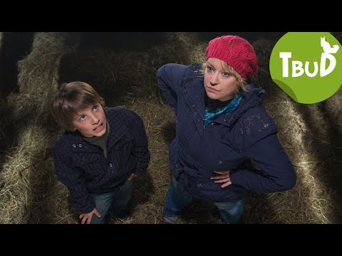 Kleiner Tierfeind (Folge 15) | Tiere bis unters Dach