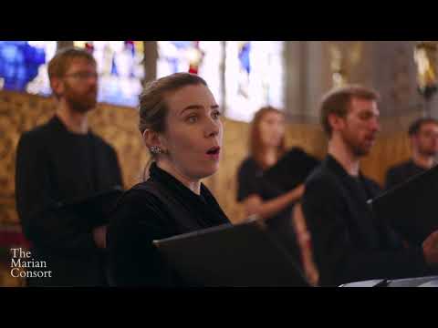 James MacMillan - O Radiant Dawn | The Marian Consort