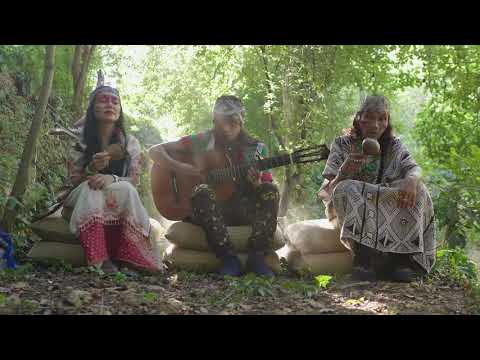 chamo balanco da floresta