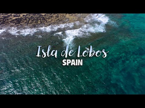 Explore Isla de Lobos Island | Stunning 4K Drone & Wildlife Videography | Canary Islands, Spain
