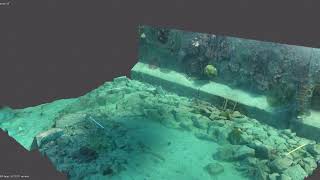 3Dモデル タネガシマハナサンゴ(旧名:ハナサンゴモドキ)種子島西之表市国上 上ノ古田漁港内