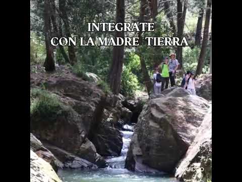 INTEGRACIÓN MADRE NATURALEZA
