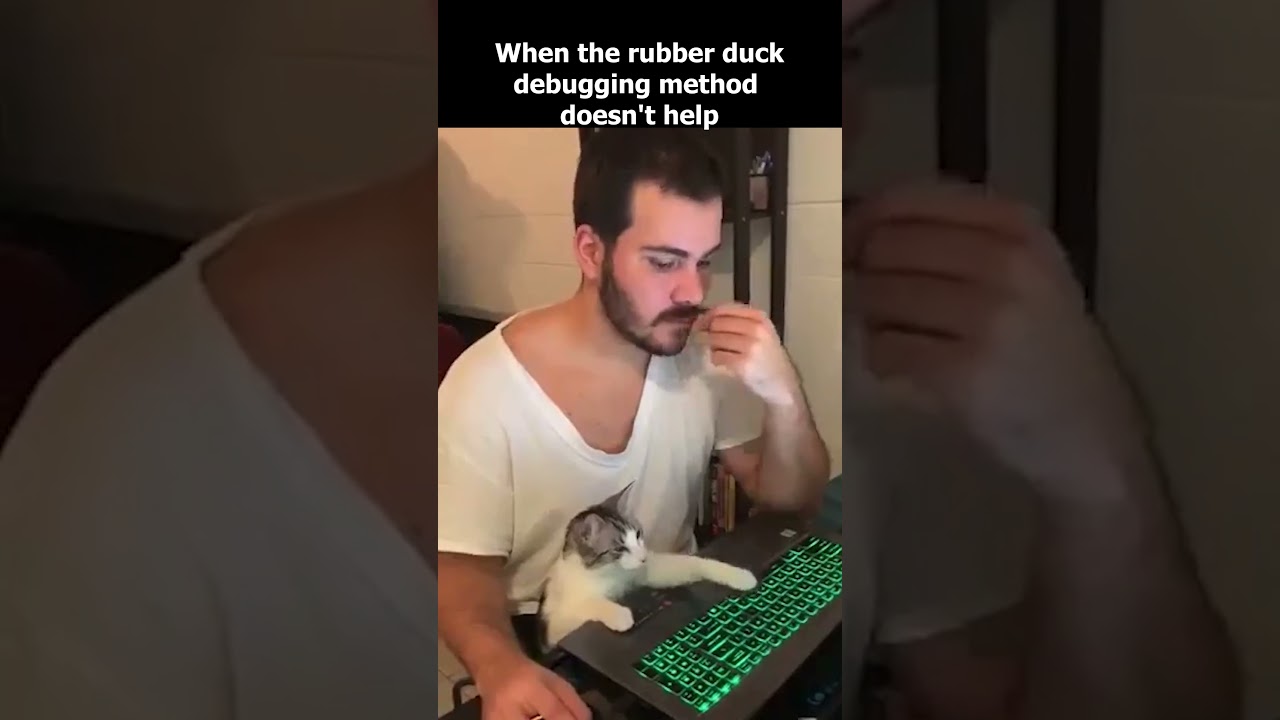 #ithumor #programmingmemes #programminghumor #itmemes #itjokes #devhumor