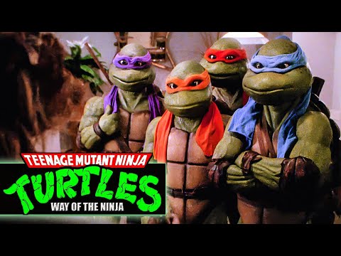 Don Dellpiero - Way Of The Ninja (Teenage Mutant Ninja Turtles in the 90s)