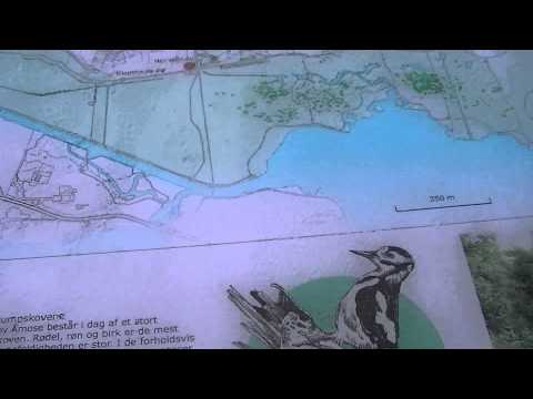 MongoTV_548 - Del 2 - MONGO TV 1 ÅRS FØDSELSDAG - Skovtur Torsdag 13.August 2015