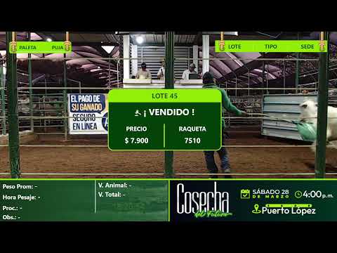 Subasta Virtual - Presencial San Pedro (E)9 11/03/2026