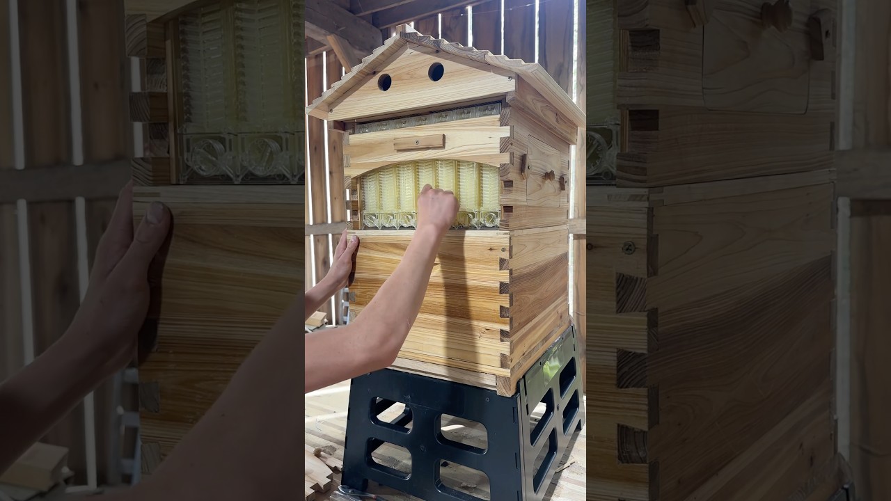 This Bee Hive is Less Than $300 On Amazon Link in Description #beehive #honey #homestead