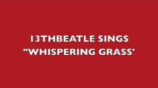 WHISPERING GRASS-RINGO STARR COVER