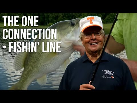 The One Connection- Fishin' Line