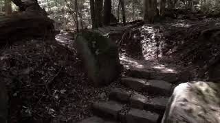 ポンチキの宮島弥山の山登り