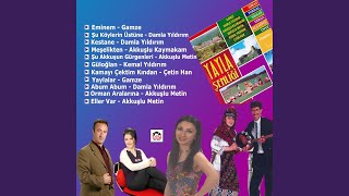 Miniaturka - Orman Aralarına