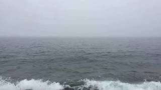 Peer Gynt Suite No. 1, Op. 46: Morning Mood performed by the London Philharmonic Orchestra