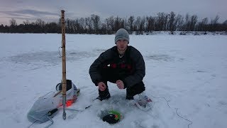 Рыбалка 2019 на десне