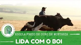 Miniatura do vídeo