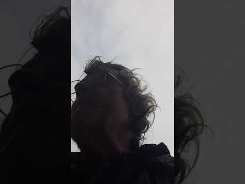 SATURDAY NIGHT LIVE KURT KELLY SIGNATURE VOICE OVER ACTOR FOR  Dyke & Fats RETURNS DEC 7 | 11:30ET 1