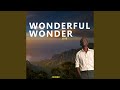 Wonderful Wonder