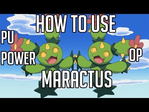 How to use Maractus | PU POWER | ORAS / XY Strategy Guide
