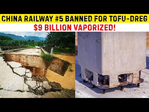 China's Mega Builder BANNED for 180 Days! Honeycomb Bridges, Severed Cables & $9B Lost
