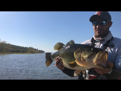 GIANT 11.29lb GIANT BASS caught - Bass Fishing South Africa, Albert Falls. Cast to catch.