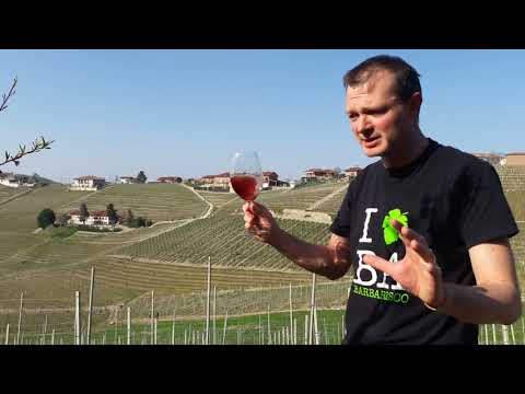 Giuseppe Cortese | Gabriele apresenta: Dolcetto Langhe