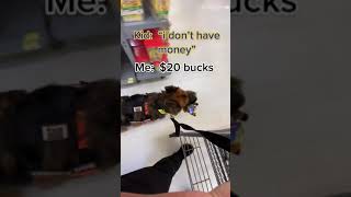 $20 Dollars To Pet A Service Dog 