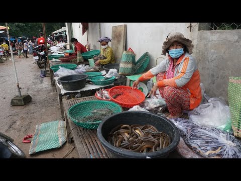 Morning Food Market at Countryside - Morning Daily Life Style @Countryside Vihrea Sour Kandal