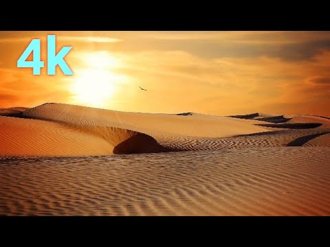 The wind in the desert is the force of nature 4k