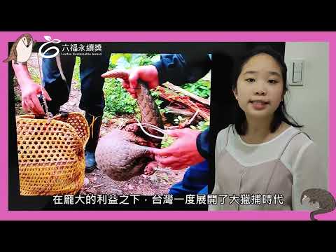 國小高年級中文組 潛力獎-2025六福永續獎: 最佳人氣影片