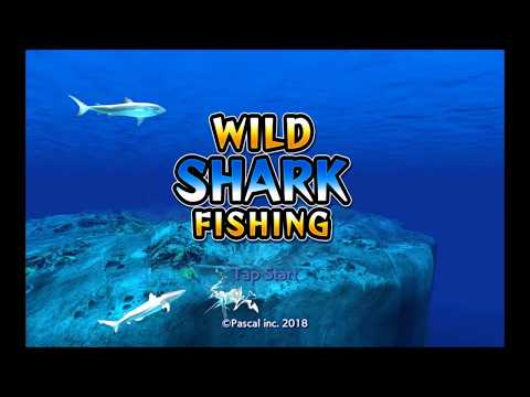 Wild Shark Fishing Video