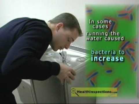 Water Fountain Germs
