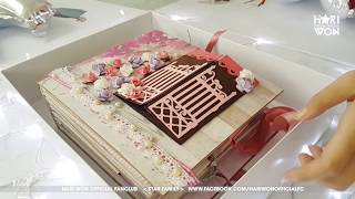 Hari Won - 2017 Birthday Project Part 3 - 'Born to be Haristar' Box