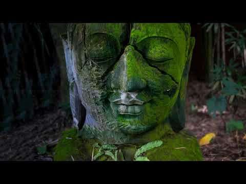 Buddha Nature  Mystical Melody