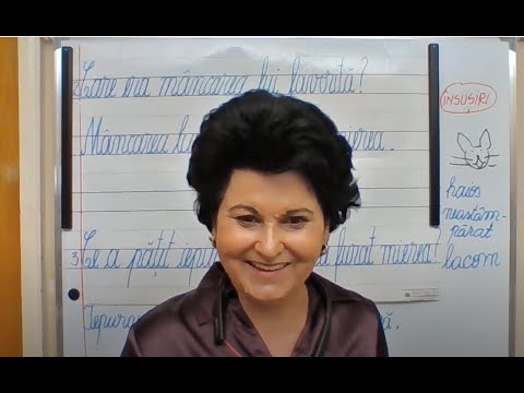 054, Lectii online, CLR, clasa a II a  - Textul narativ