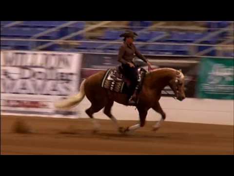 16 CACTUS Lenas Wimpys Rooster