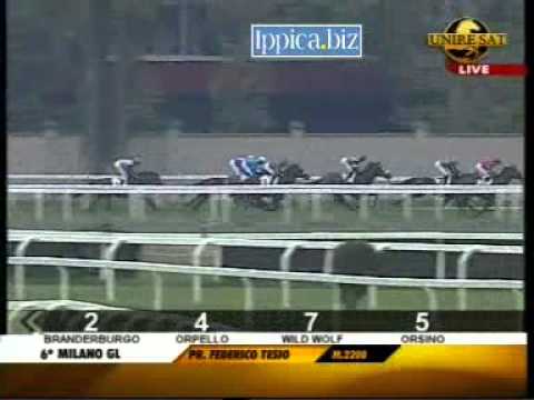 23/09/2012, Milano , Premio Federico Tesio