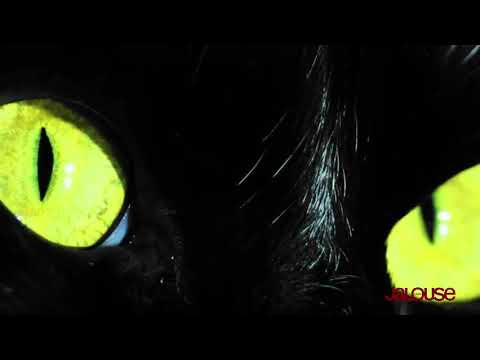 191108 Z.TAO x Jalouse "The Night"