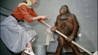 Ill gates, Bassnectar - Maximum