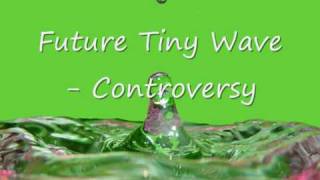 Future Tiny Wave - Controversy