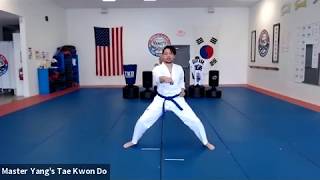Live Class - Red Belt - 5.5.20 @ 3:30pm