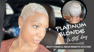 Platinum Blonde | How to Bleach Dark Brown Black to Platinum Blonde - Save Money and Do it Yourself!