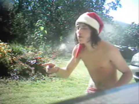 Backlash - Nielpferd in der Etsch