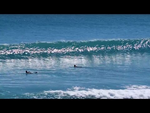 Sick conditions at Jensen Beach