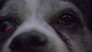 Thelma &quot;Peach&quot; Official Video