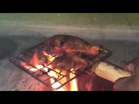 Chicken Grill -  S3P View