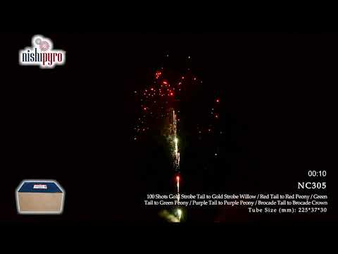 NC305 - City Celebration