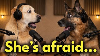 Only Your Female Dog Does This for a Reason