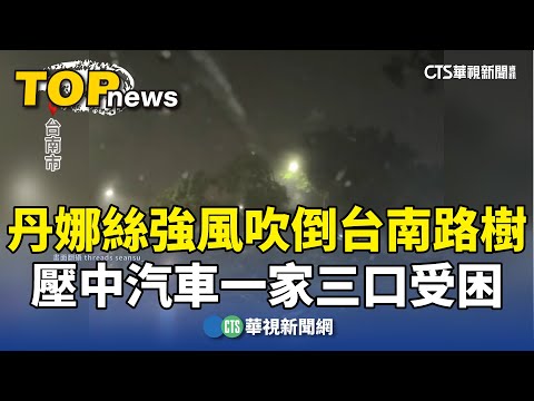 丹娜絲強風吹倒台南路樹　壓中汽車一家三口受困