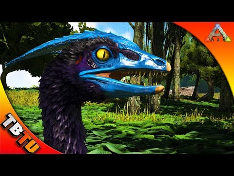 FULL MUTATED MICRORAPTOR! Ark Microraptor Breeding and Mutations! Ark Survival Evolved