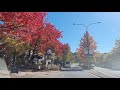 Adelaide Hills in Autumn