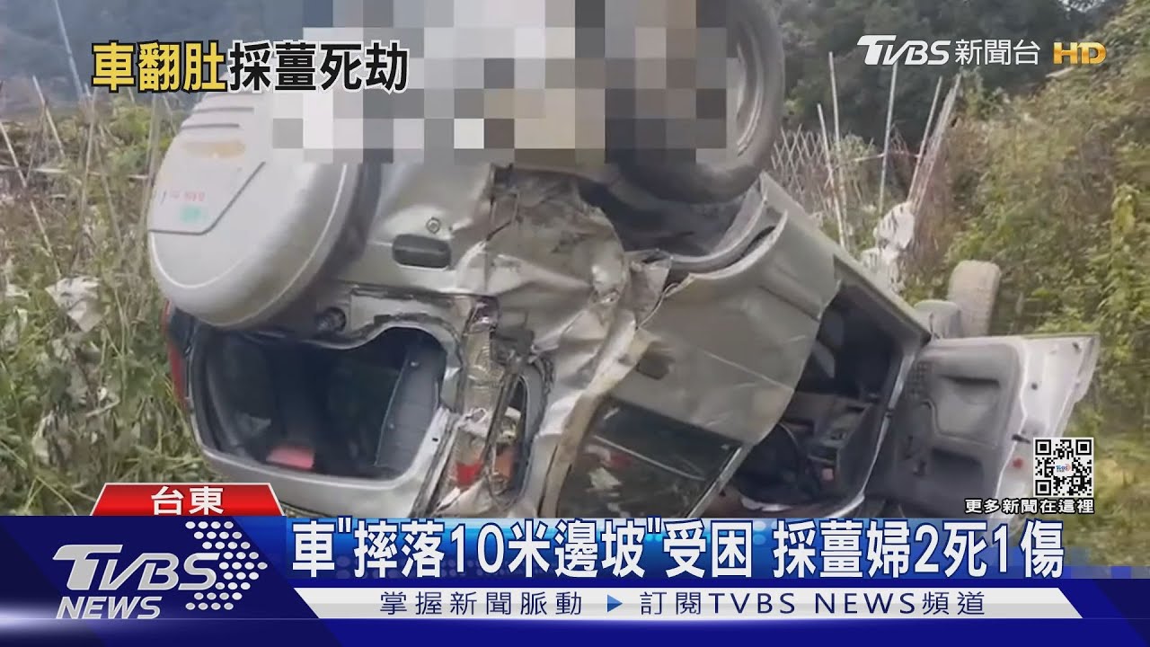 車「摔落10米邊坡」受困 採薑婦2死1傷